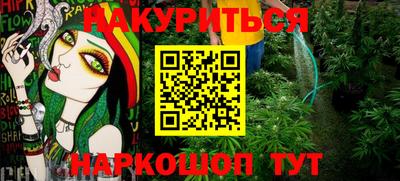 шишки Усть-Джегута