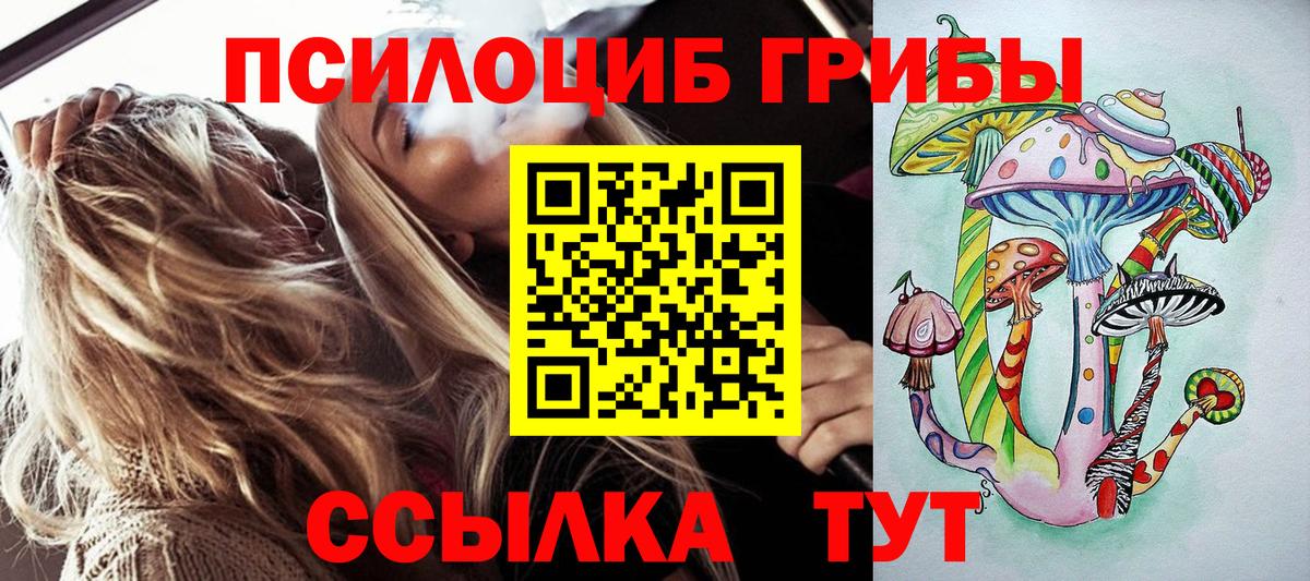 Галлюциногенные грибы Cubensis Кстово