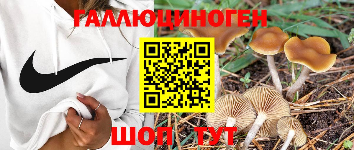 Кстово  ТГК  Alpha-PVP СОЛЬ кристаллы  Вход с VPN  Цена  Кодеин  Марихуана  Кокаин  Каннабис  Гашиш  Меф МЯУ МЯУ кристаллы 